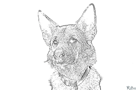 king shepherd Coloring Pages To Print